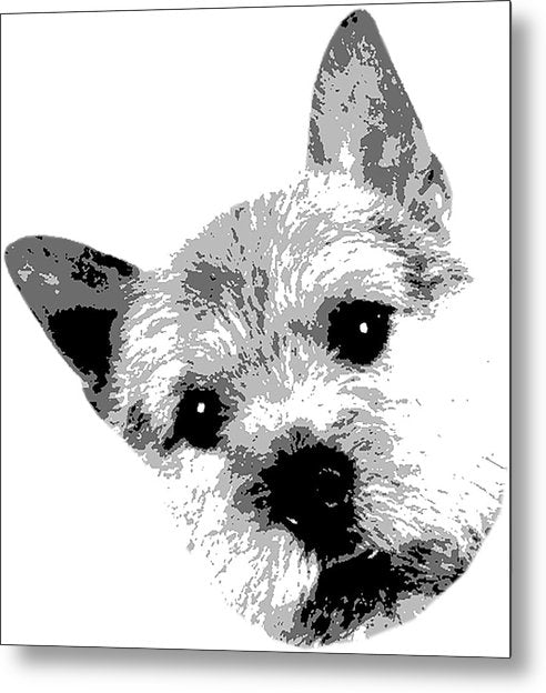 Maddy - Metal Print