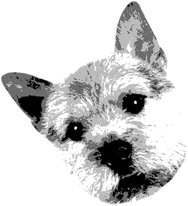 Maddy - Art Print